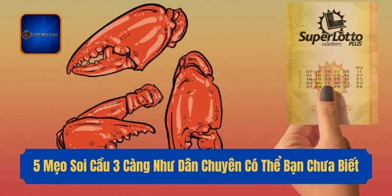 5 Mẹo Soi Cầu 3 Càng Như Dân Chuyên Có Thể Bạn Chưa Biết