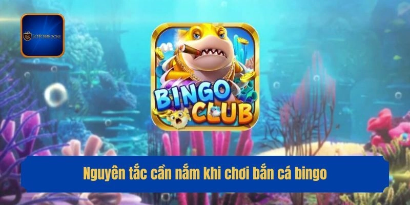 Nguyên tắc cần nắm khi chơi bắn cá bingo