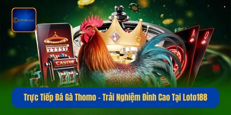 Trực Tiếp Đá Gà Thomo – Trải Nghiệm Đỉnh Cao Tại Loto188